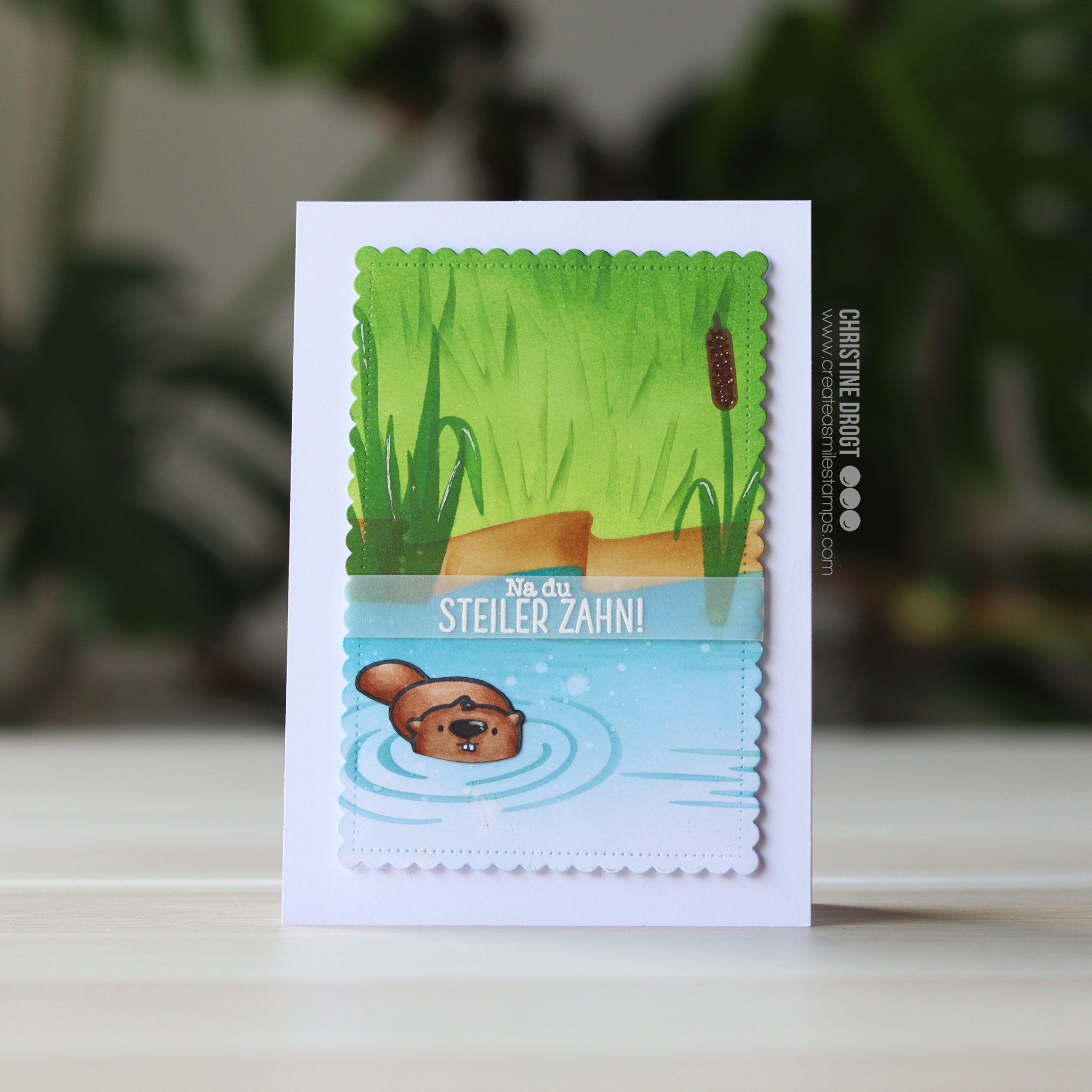 Clear A6 Steiler Zahn