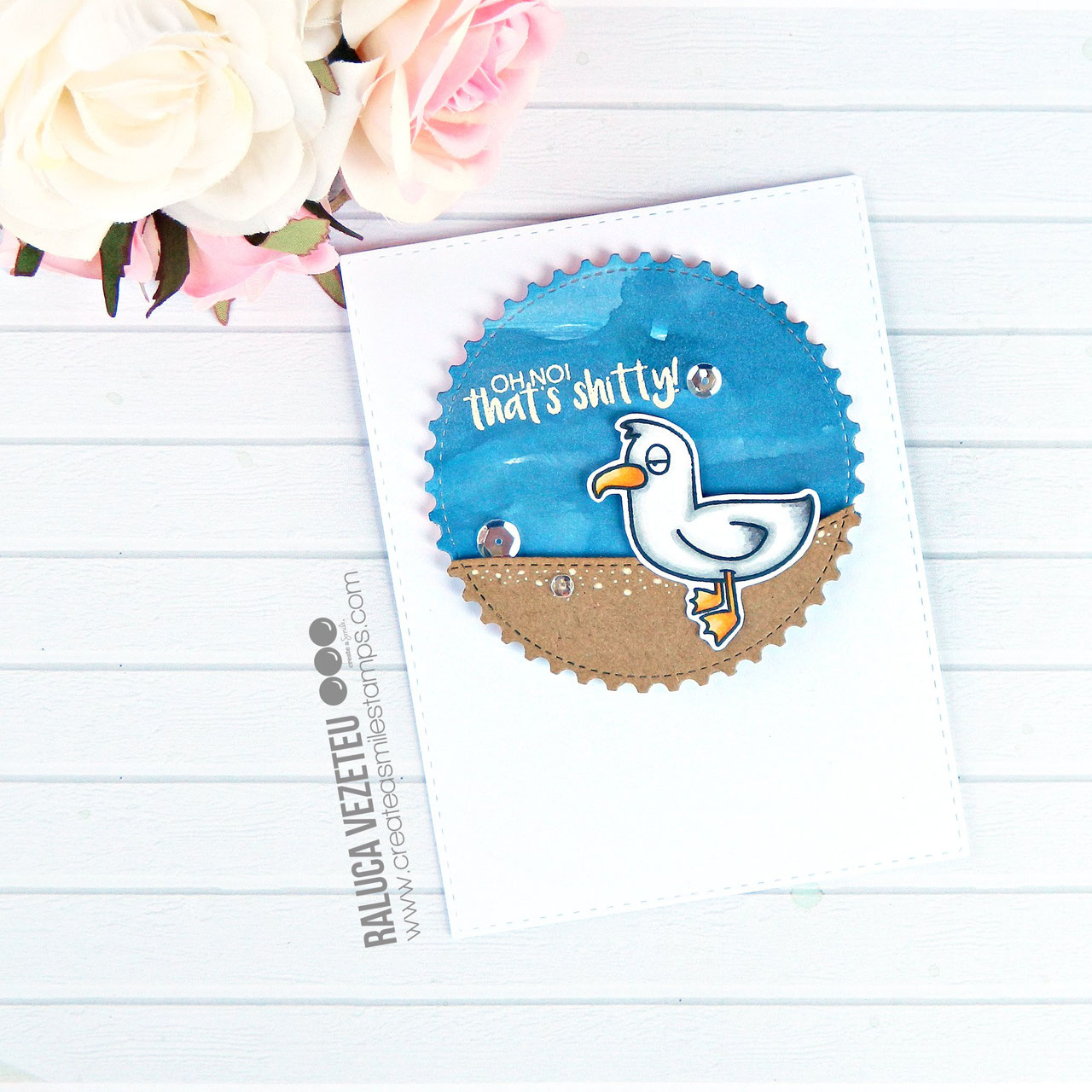 Clear A6 Möwen-Gang