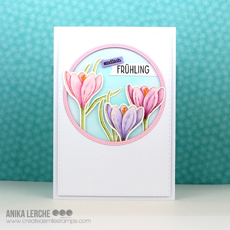 Cool Cuts Stitched Circle Frames